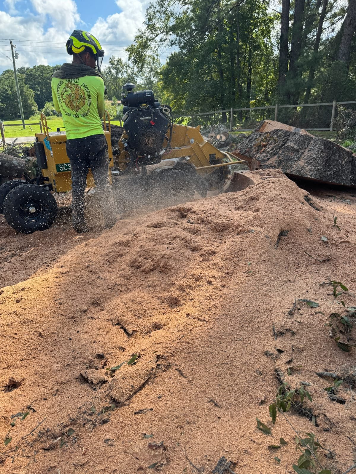 Lion Tree Service and Landscaping LLC project photo 55